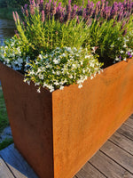 Blomlåda utan botten 100x40x60 cm